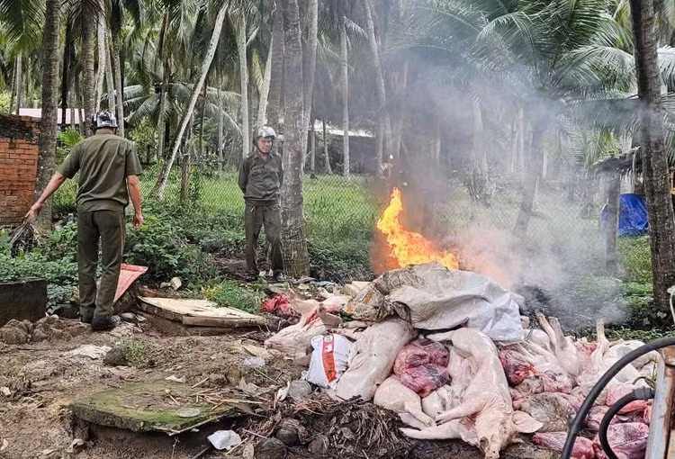 nhuanphutan333.jpg