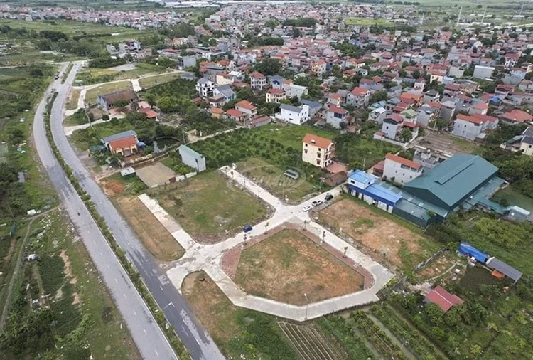 dau-gia-ha-noi.jpg