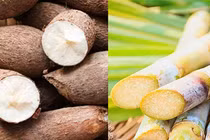 Cảnh báo về mì chính sang chiết: Nguy cơ mất an toàn thực phẩm