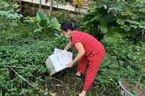 Hà Nội ghi nhận 359 ca sốt xuất huyết, còn nhiều ổ dịch mới