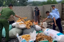Nghệ An tiêu hủy 150 kg măng khô không rõ nguồn gốc