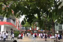Dự thảo quy chế tuyển sinh mới: siết chặt phương thức xét tuyển từ năm 2027