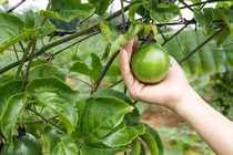 2 bệnh nhi bị ngộ độc lúc nhập viện điều trị. Ảnh adn.com.vn