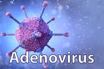Virus Adenovirus gia tăng, đe dọa sức khỏe trẻ em mùa giao mùa