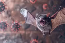 Bangladesh ghi nhận ca tử vong do virus Nipah