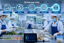 Số hóa toàn diện công tác quản lý bữa ăn học đường từ năm học 2026-2027