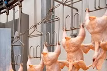 Hà Nội tăng cường kiểm tra, xử lý vi phạm an toàn thực phẩm trước Tết 