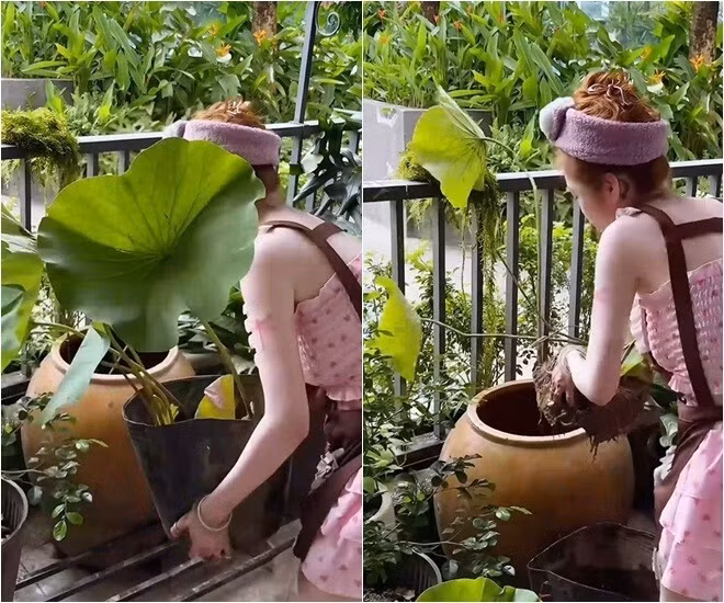 nha3.jpg