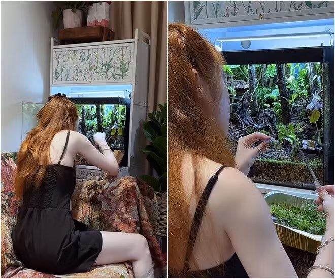 nha5.jpg