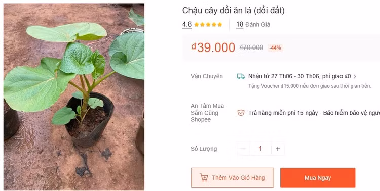 la-doi-dat10.jpg