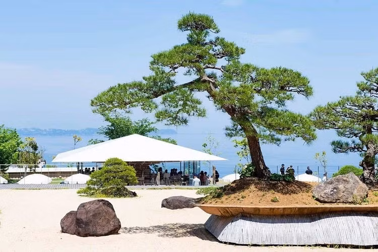 bonsai-7.jpg
