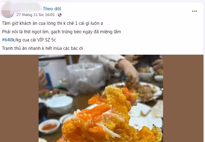 cua4.jpg