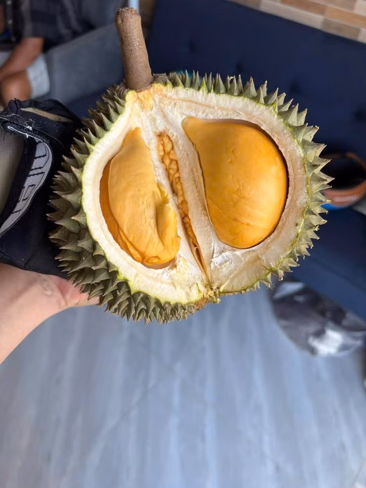 sau-rieng2.jpg
