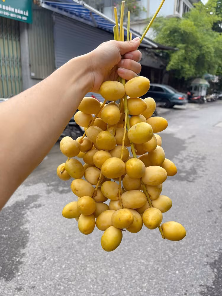 cha-la6.jpg