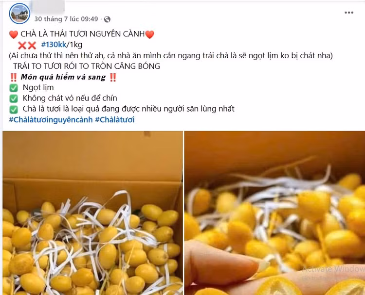 cha-la2.jpg