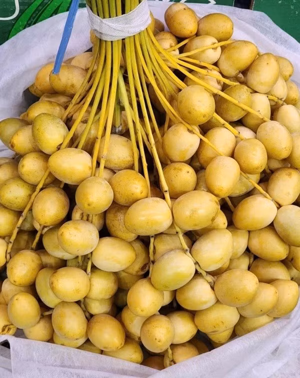 anh-cha-la.jpg