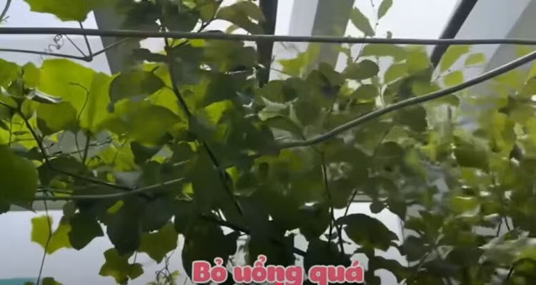 cat-tuong5.jpg