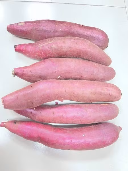 khoai-lang9.jpg