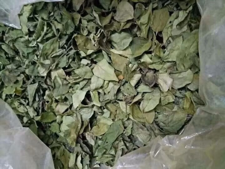 thach-gang5.jpg
