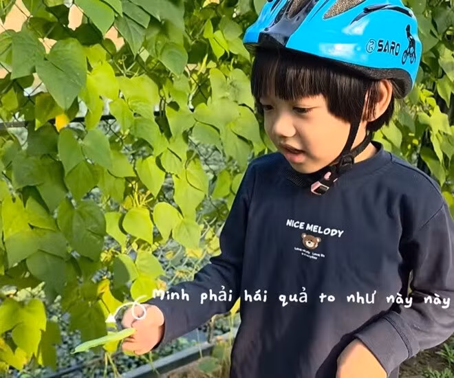 xuan-bac2.jpg
