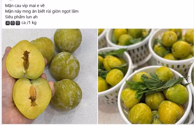 man1.jpg