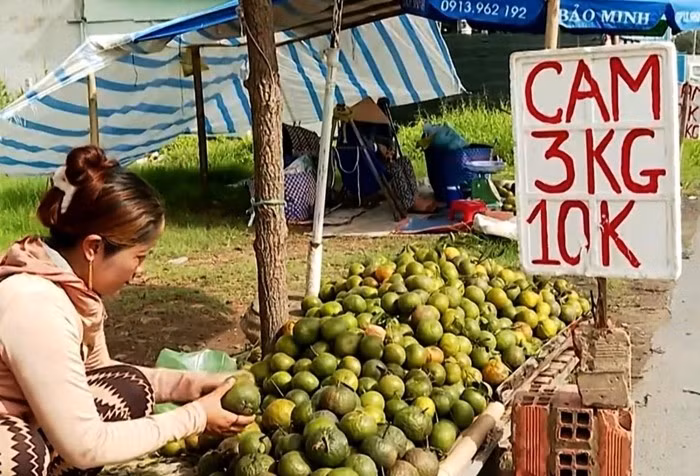 nong-san6.jpg