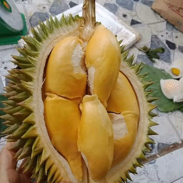 sau-rieng9.jpg