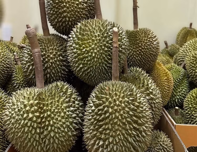 sau-rieng10.jpg