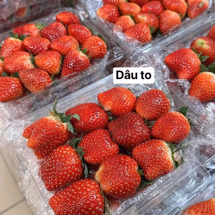 dau1.jpg