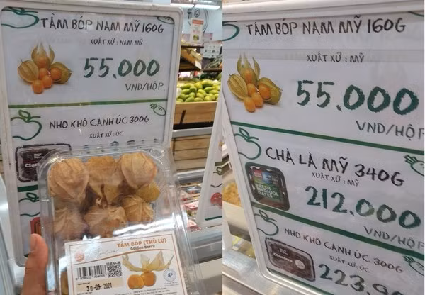 cay-tam-bop6.jpg