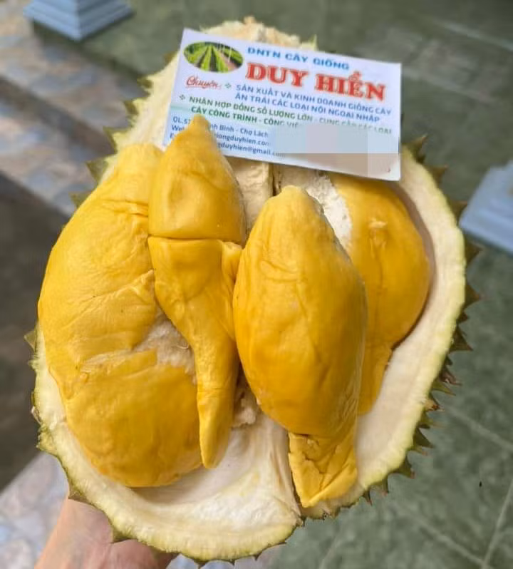 sau-rieng6.jpg