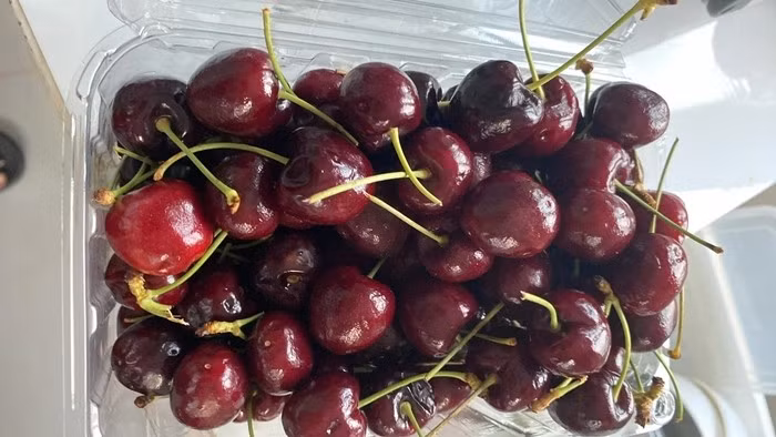 cherry2.jpg