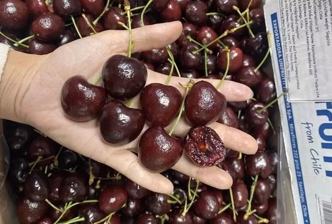 cherry8.jpg