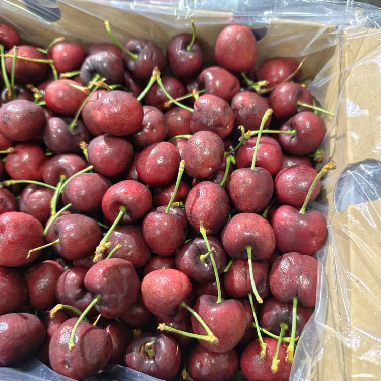 cherry4.jpg