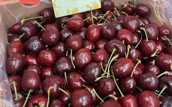 cherry9.jpg