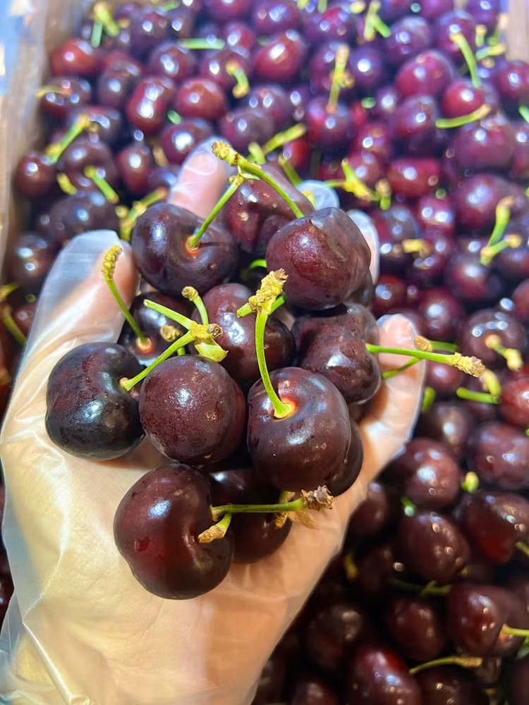 cherry10.jpg