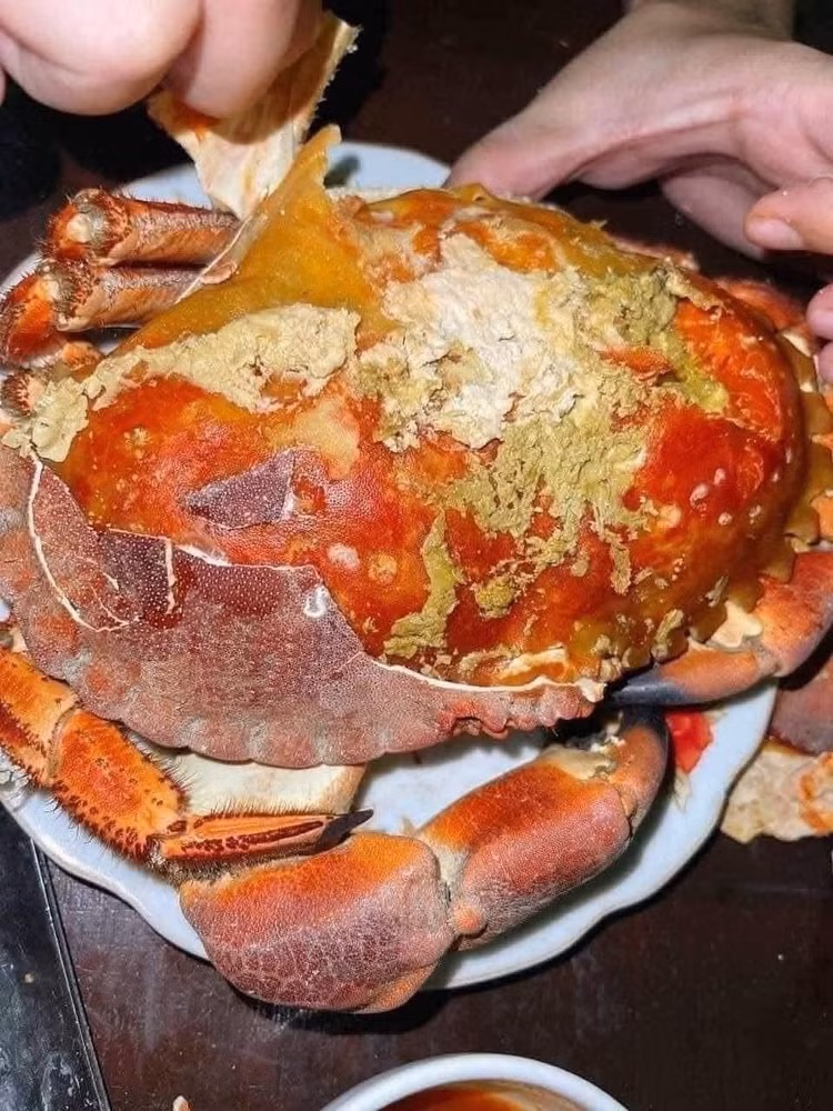 cua6.jpg
