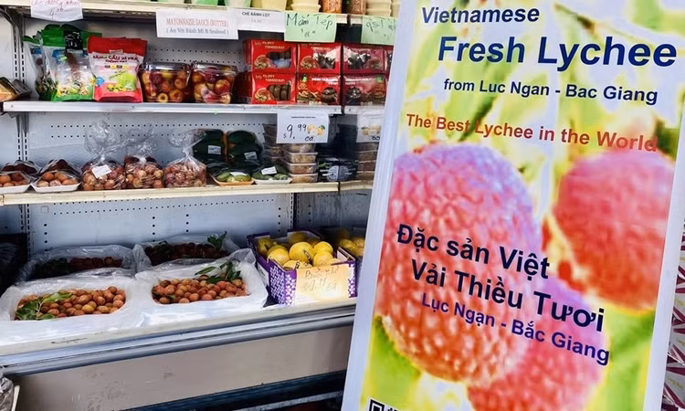 vai-thieu9.jpg
