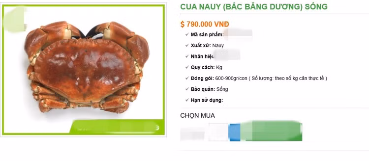 cua7.jpg