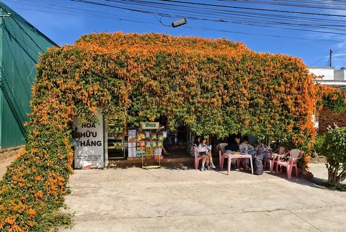 nha2.jpg