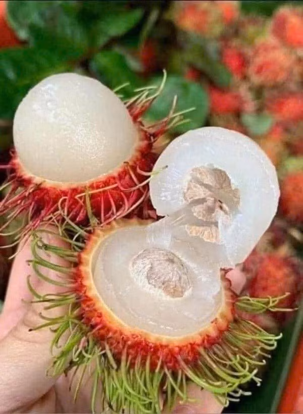 anh-chom-chom-thai.jpg