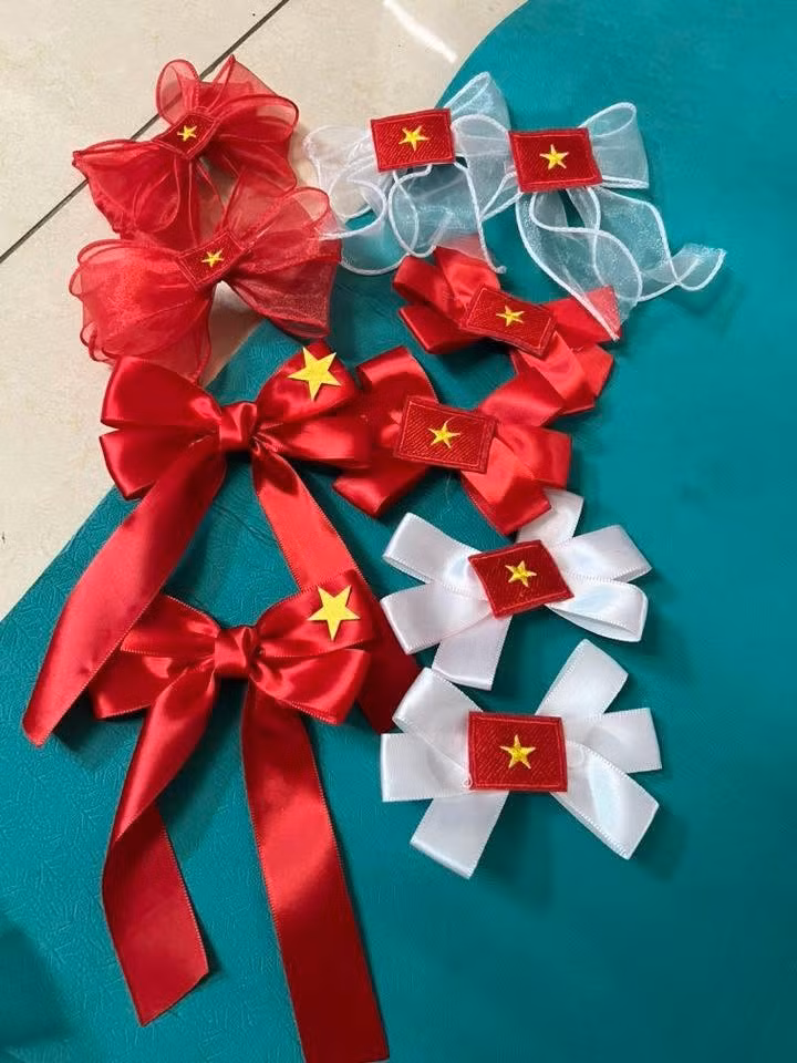 quoc-khanh6.jpg