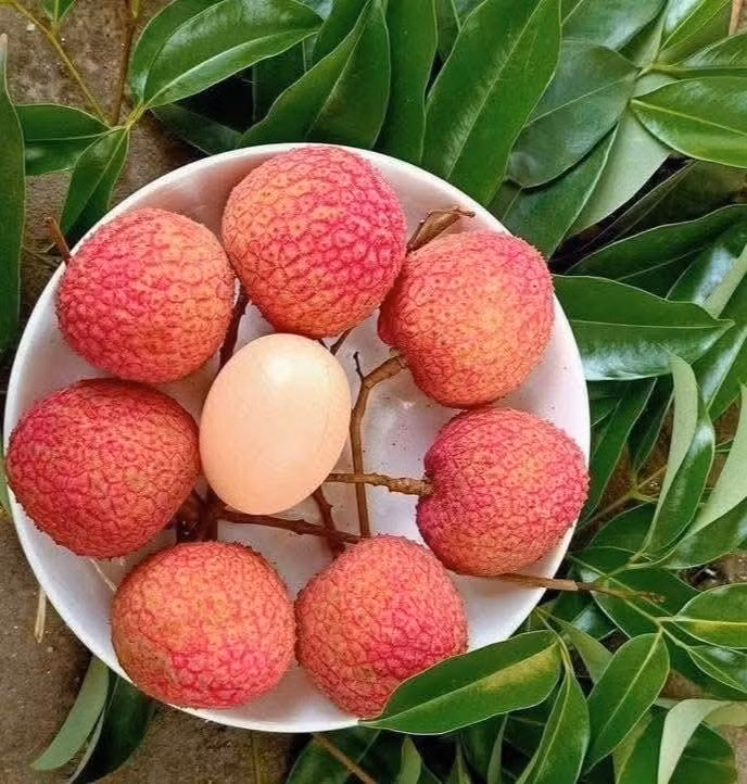 vai-thieu7.jpg