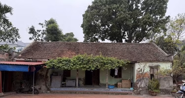 ngoi-nha7.jpg