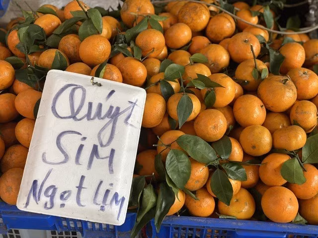 quyt5.jpg