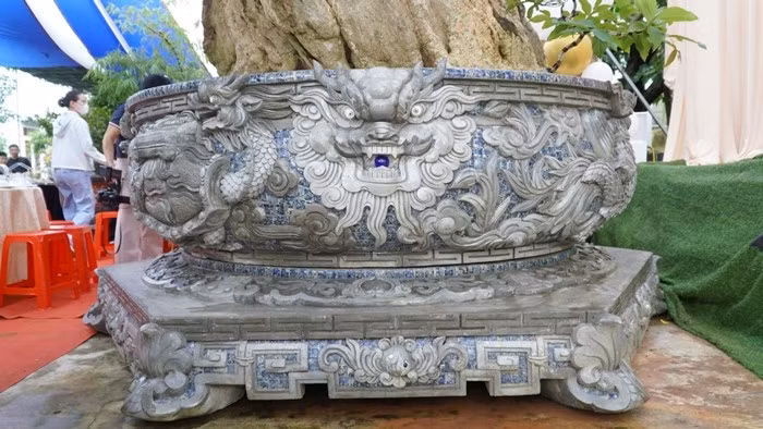 bonsai6.jpg
