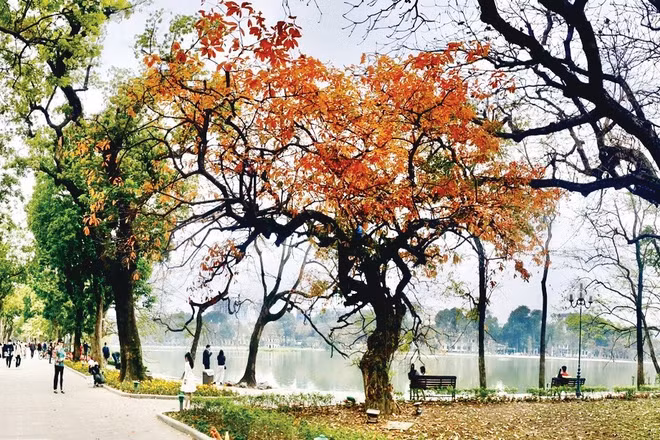 Dự báo thời tiết ngày 6/9: Mưa dông, đề phòng lốc, sét và gió giật mạnh