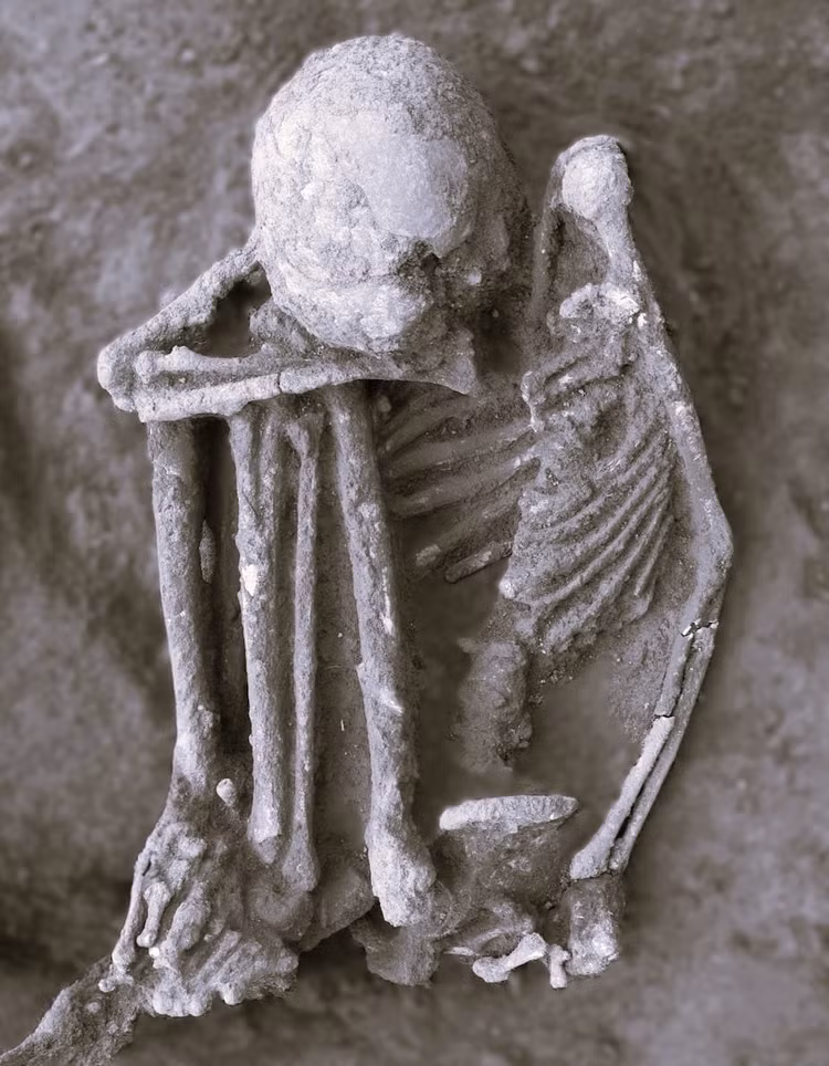 uoppp-1.jpg