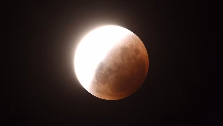 trang-7.jpg