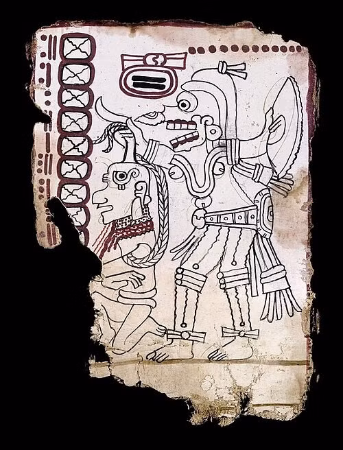 maya-9.jpg